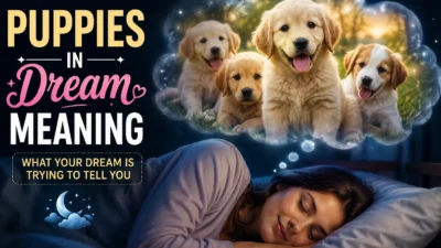 Puppies in Dream Meaning